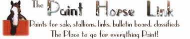 The Paint Horse Link (5184 bytes)